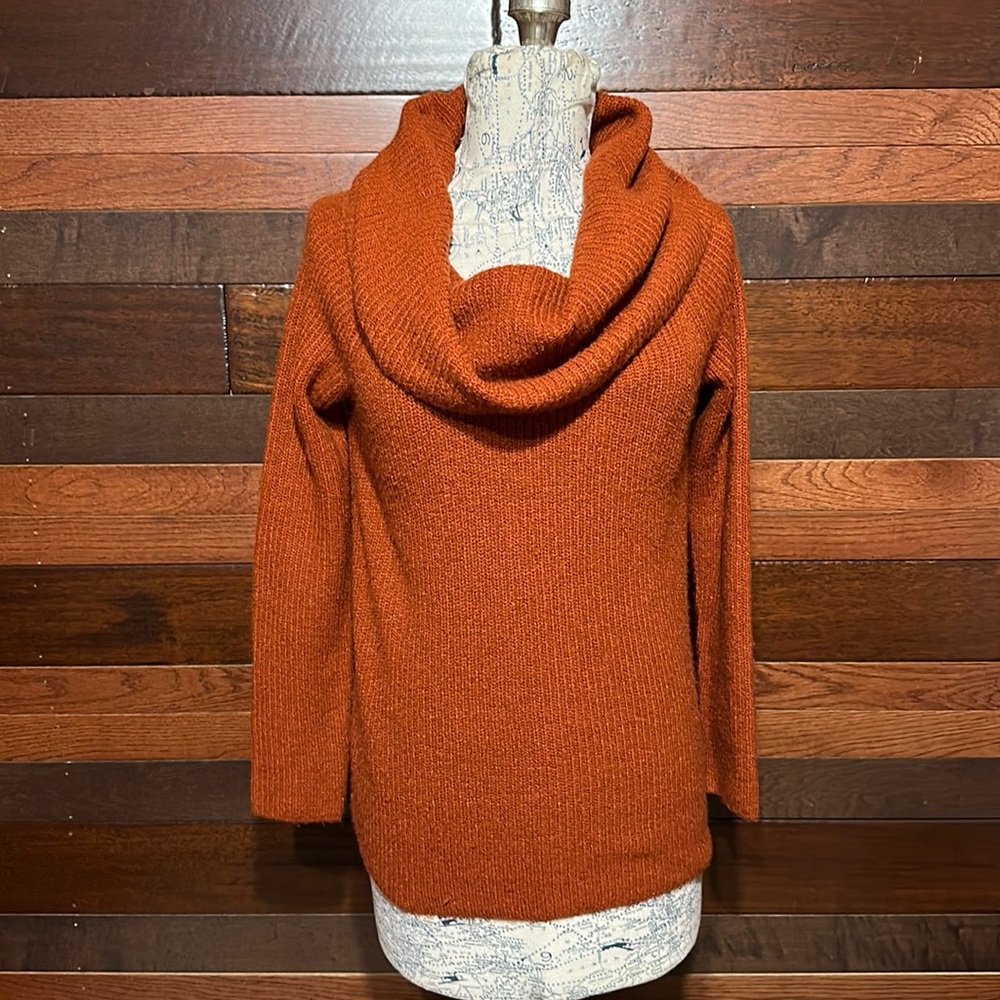 Forever 21 Long Sleeve Burnt Orange Ribbed Knit Turtleneck Sweater